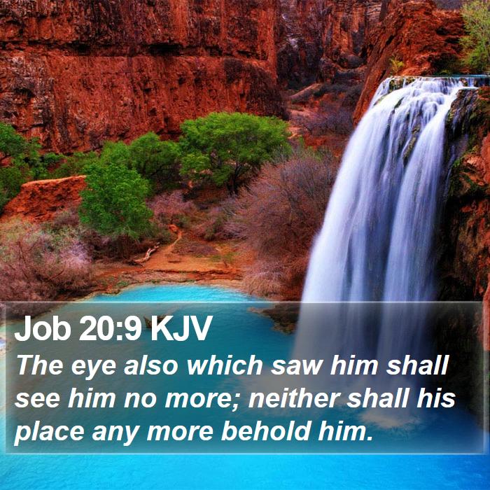 Job 20:9 KJV Bible Study