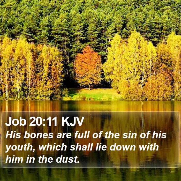 Job 20:11 KJV Bible Study