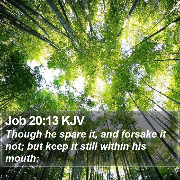 Job 20:13 KJV Bible Study