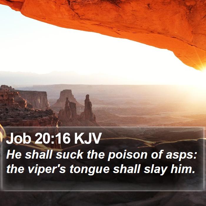 Job 20:16 KJV Bible Study