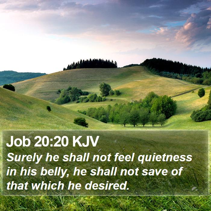 Job 20:20 KJV Bible Study