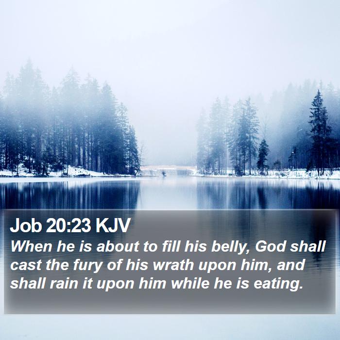 Job 20:23 KJV Bible Study