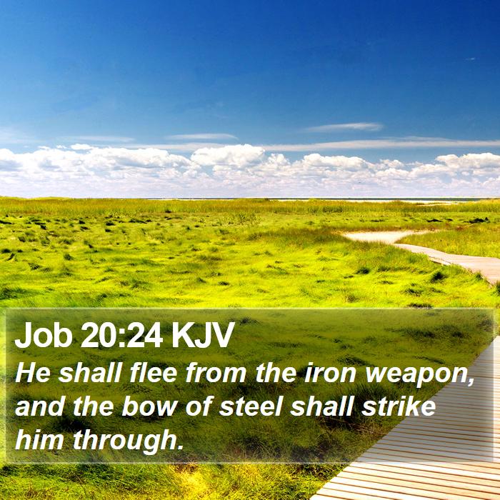 Job 20:24 KJV Bible Study