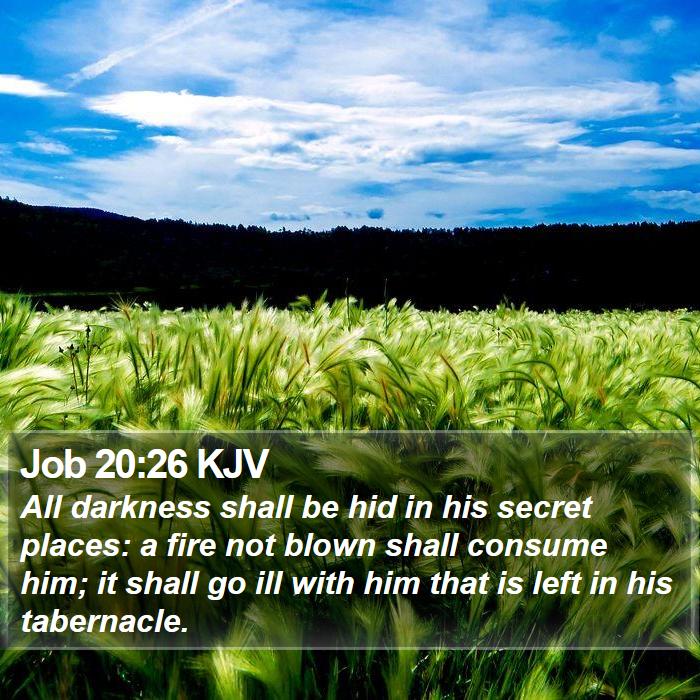 Job 20:26 KJV Bible Study