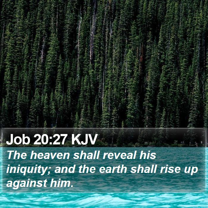 Job 20:27 KJV Bible Study