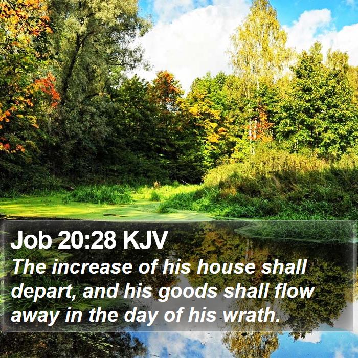 Job 20:28 KJV Bible Study