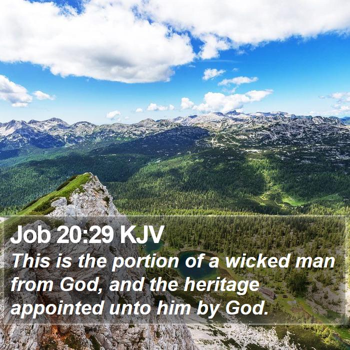 Job 20:29 KJV Bible Study