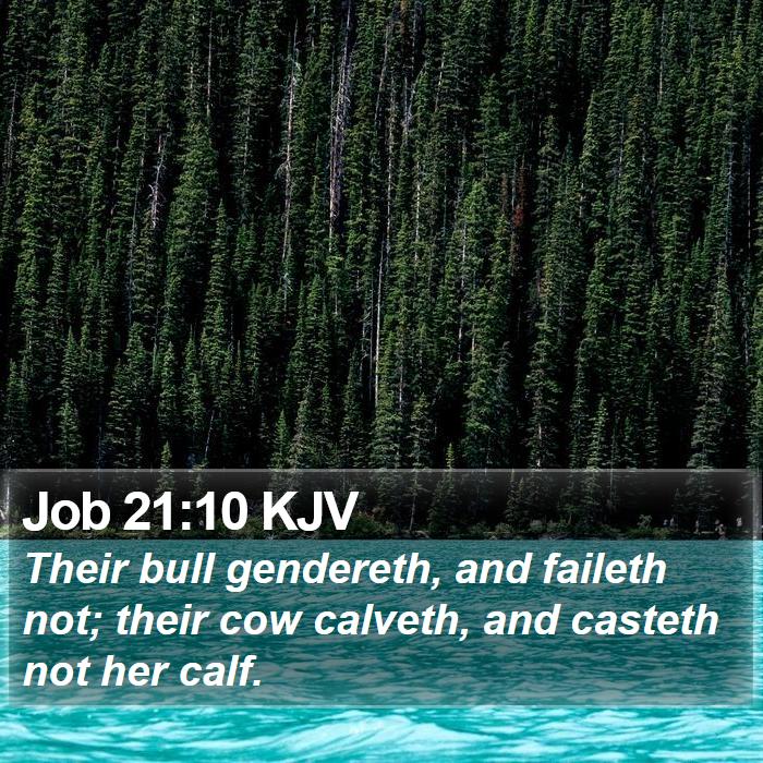 Job 21:10 KJV Bible Study