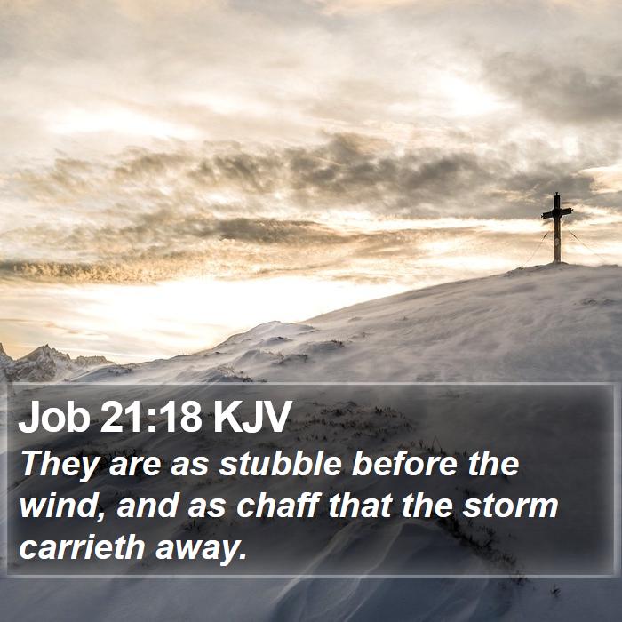 Job 21:18 KJV Bible Study