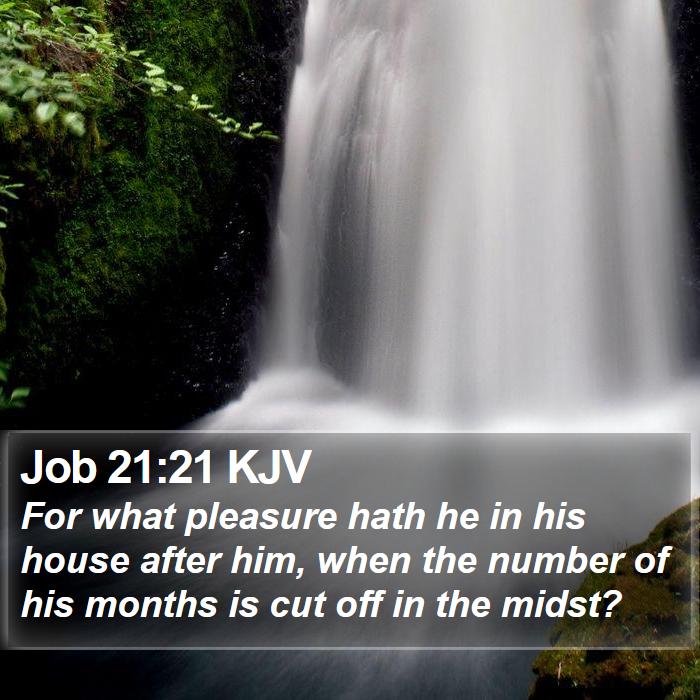 Job 21:21 KJV Bible Study