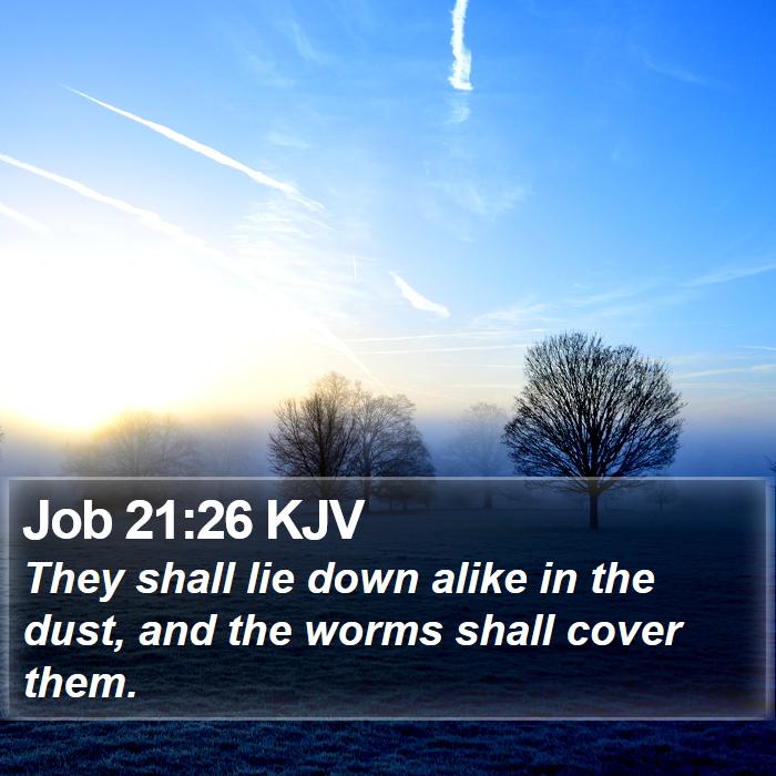 Job 21:26 KJV Bible Study