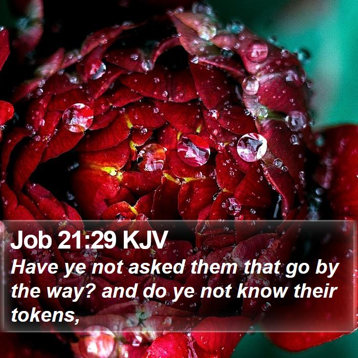 Job 21:29 KJV Bible Study