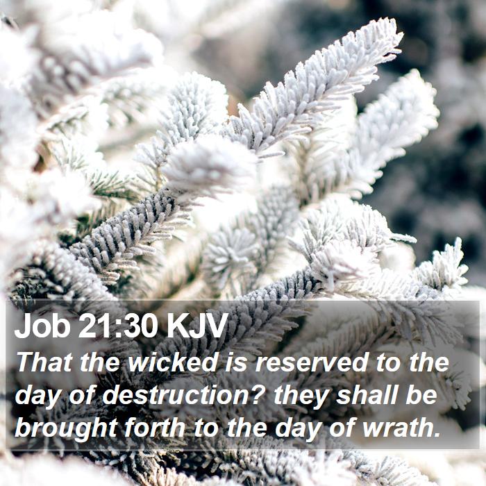 Job 21:30 KJV Bible Study