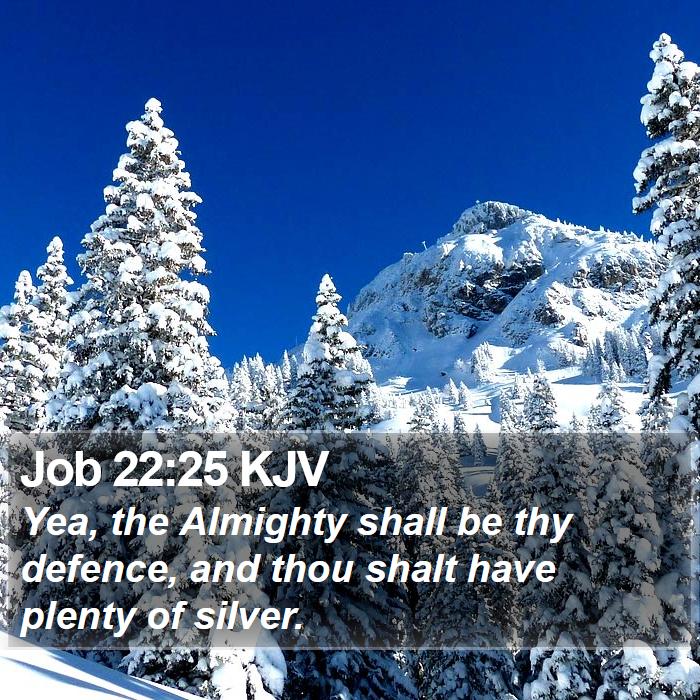 Job 22:25 KJV Bible Study