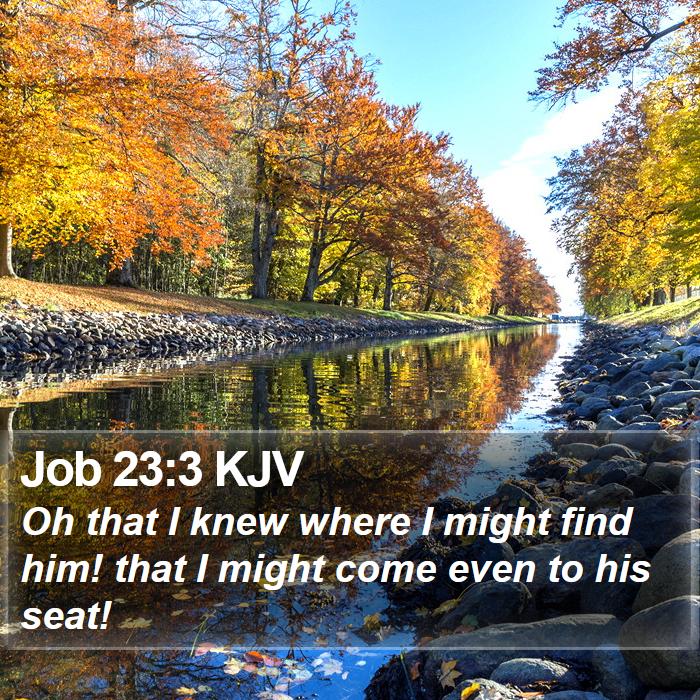 Job 23:3 KJV Bible Study