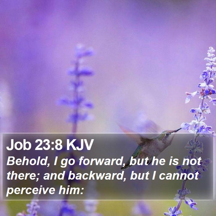 Job 23:8 KJV Bible Study