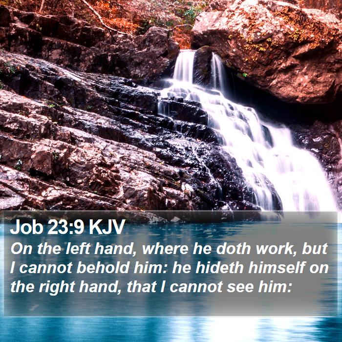 Job 23:9 KJV Bible Study