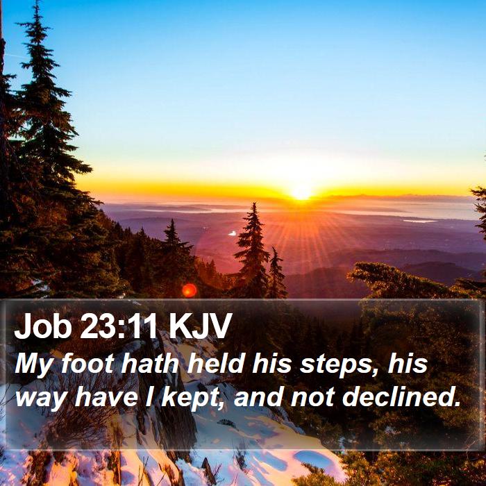 Job 23:11 KJV Bible Study