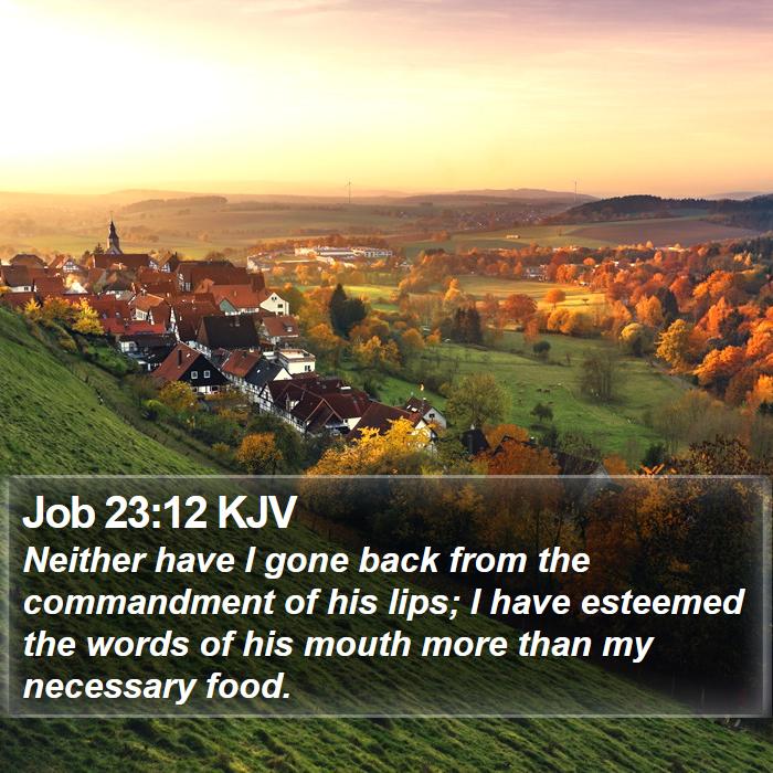 Job 23:12 KJV Bible Study