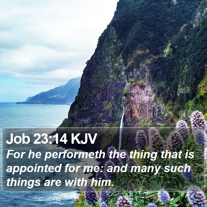 Job 23:14 KJV Bible Study