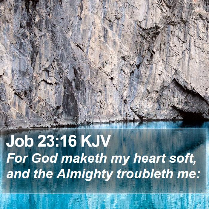 Job 23:16 KJV Bible Study