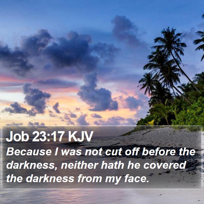 Job 23:17 KJV Bible Study