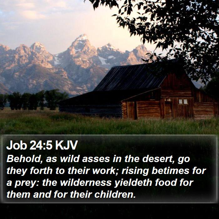 Job 24:5 KJV Bible Study