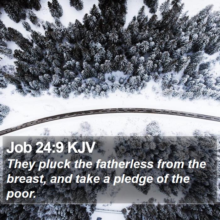 Job 24:9 KJV Bible Study