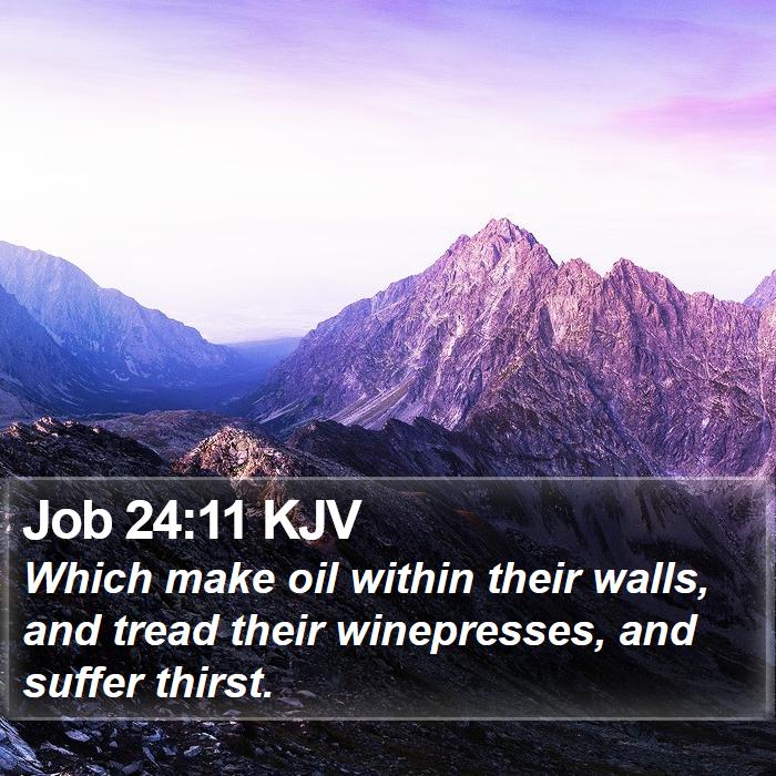 Job 24:11 KJV Bible Study