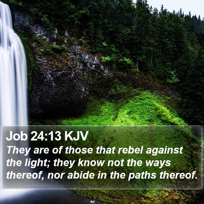 Job 24:13 KJV Bible Study