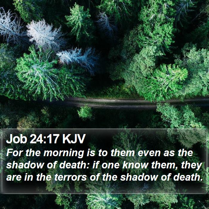 Job 24:17 KJV Bible Study