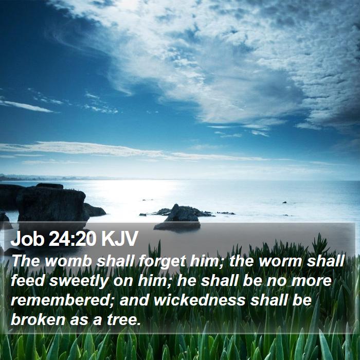 Job 24:20 KJV Bible Study