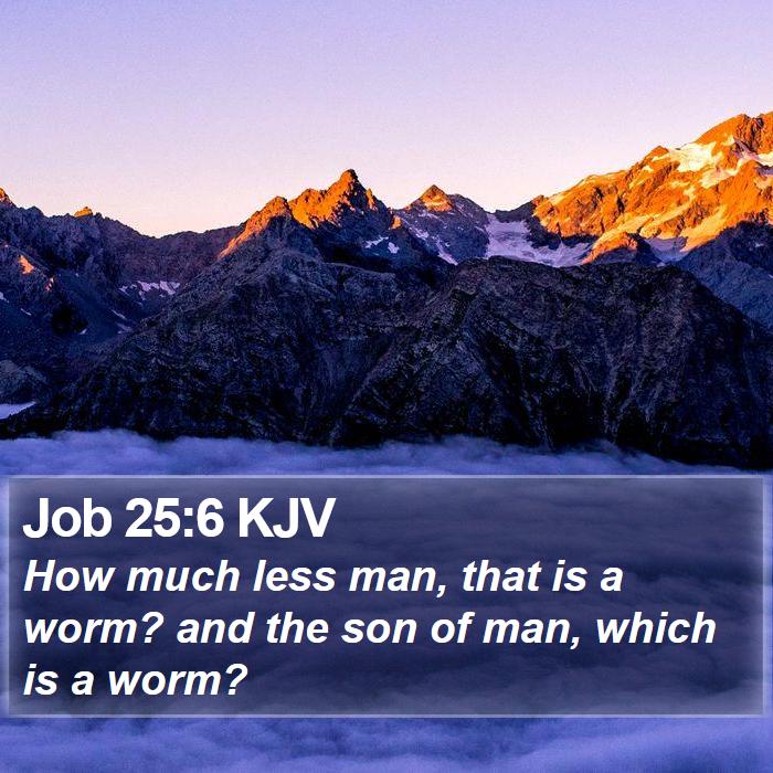 Job 25:6 KJV Bible Study