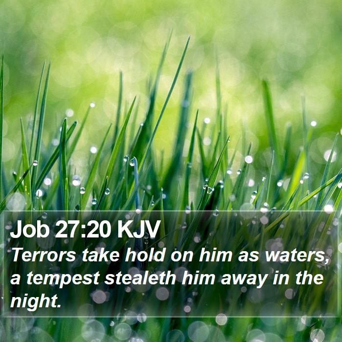 Job 27:20 KJV Bible Study