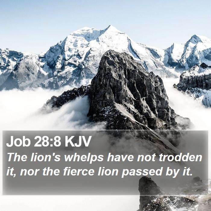 Job 28:8 KJV Bible Study