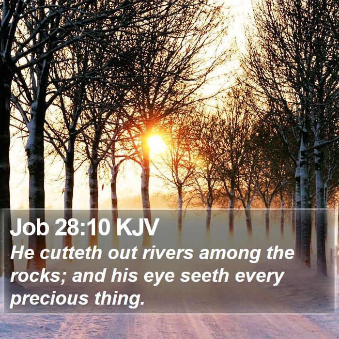 Job 28:10 KJV Bible Study