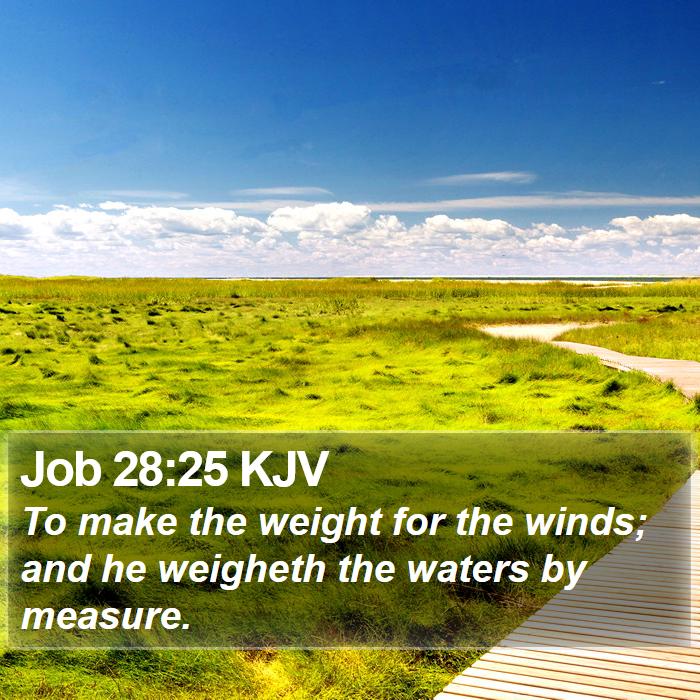 Job 28:25 KJV Bible Study