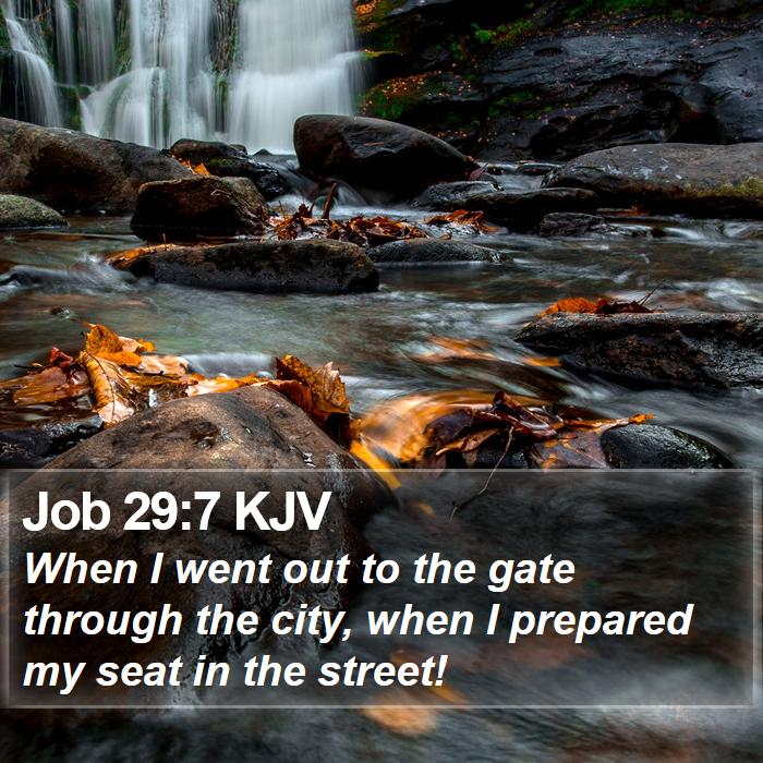 Job 29:7 KJV Bible Study