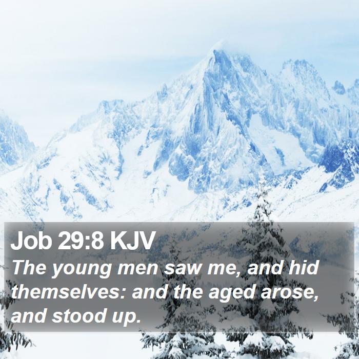 Job 29:8 KJV Bible Study