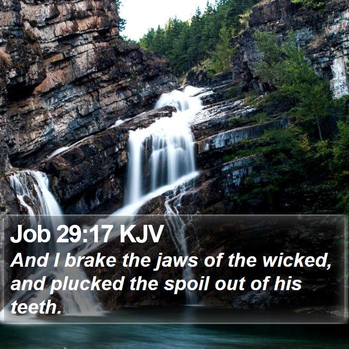 Job 29:17 KJV Bible Study