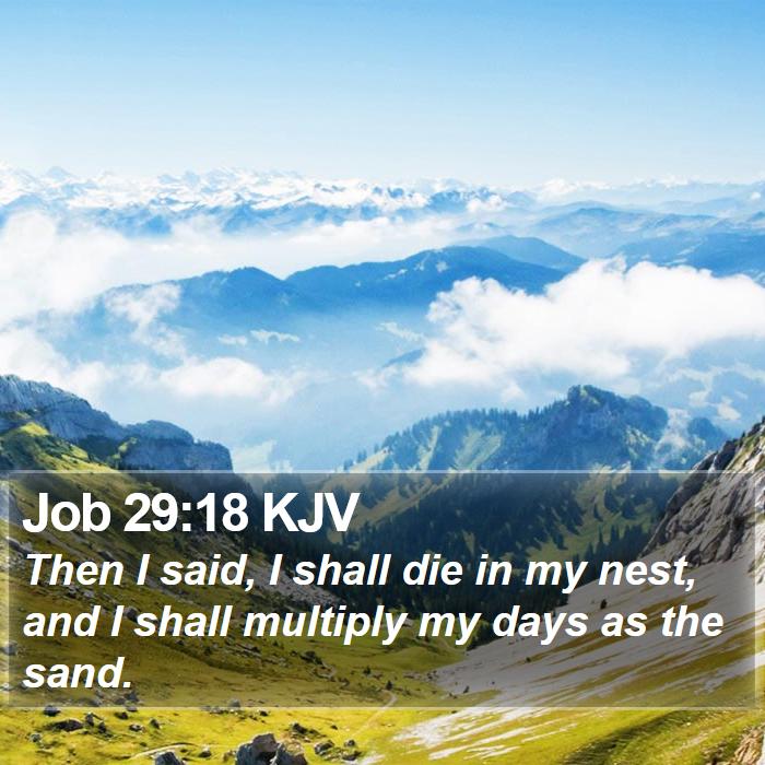 Job 29:18 KJV Bible Study