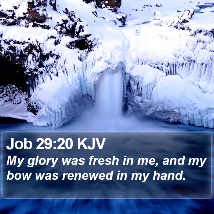 Job 29:20 KJV Bible Study