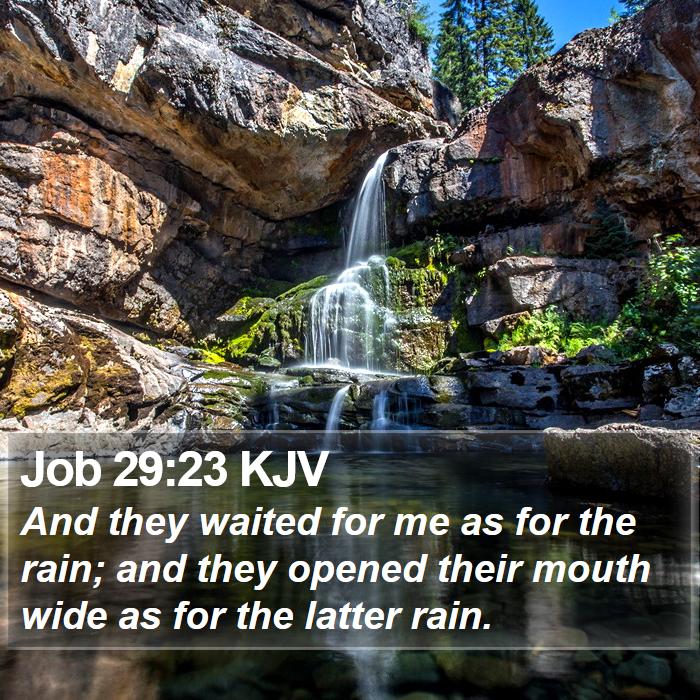 Job 29:23 KJV Bible Study