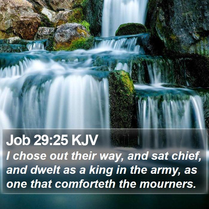 Job 29:25 KJV Bible Study