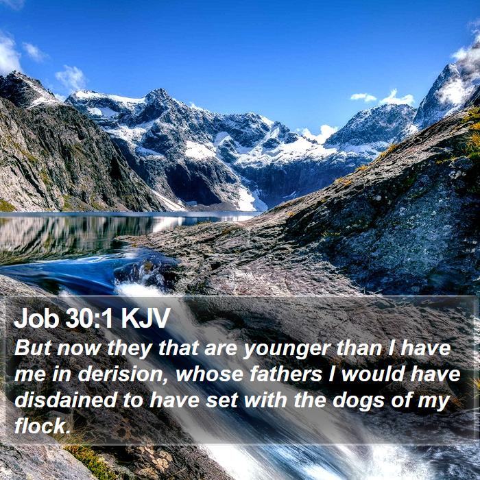 Job 30:1 KJV Bible Study