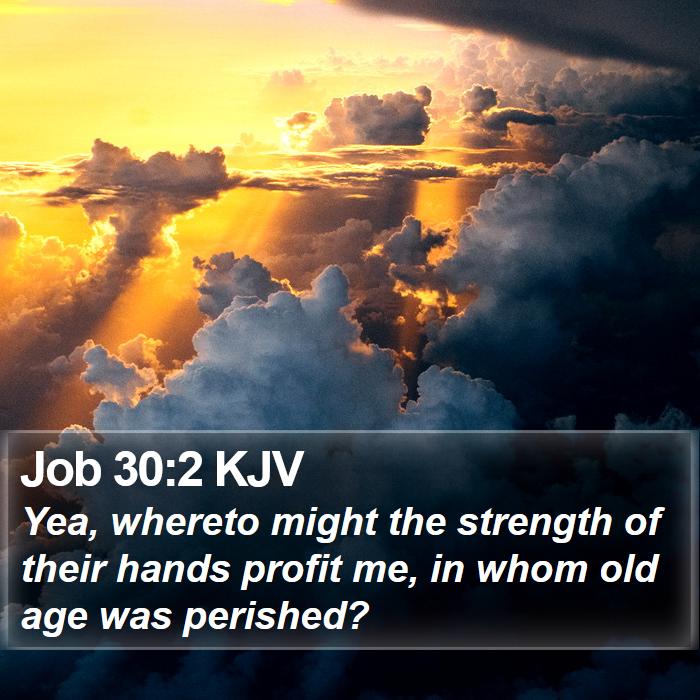 Job 30:2 KJV Bible Study