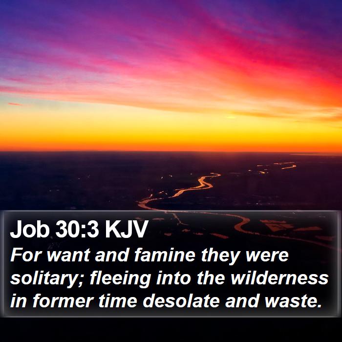 Job 30:3 KJV Bible Study