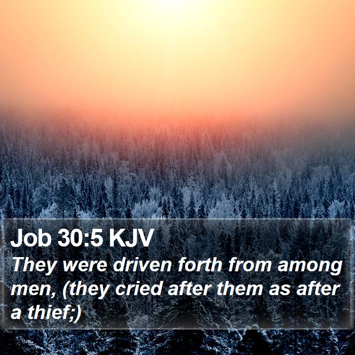 Job 30:5 KJV Bible Study