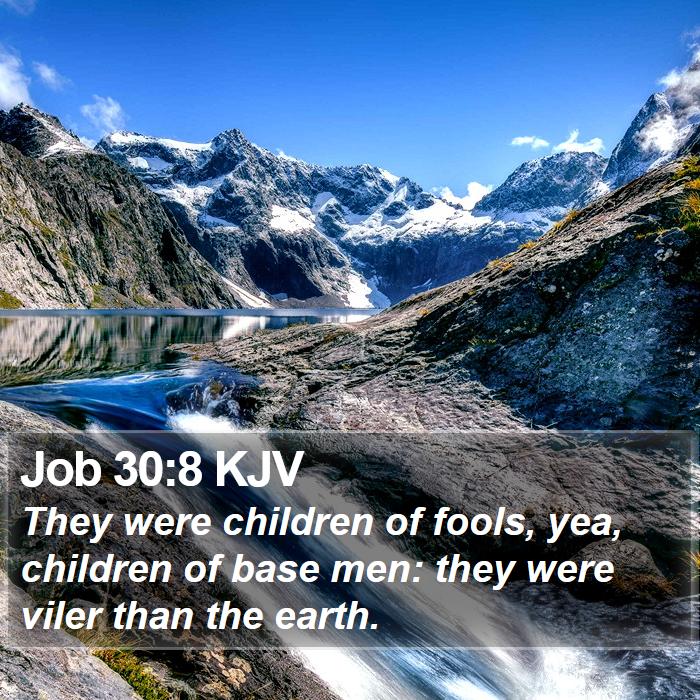 Job 30:8 KJV Bible Study