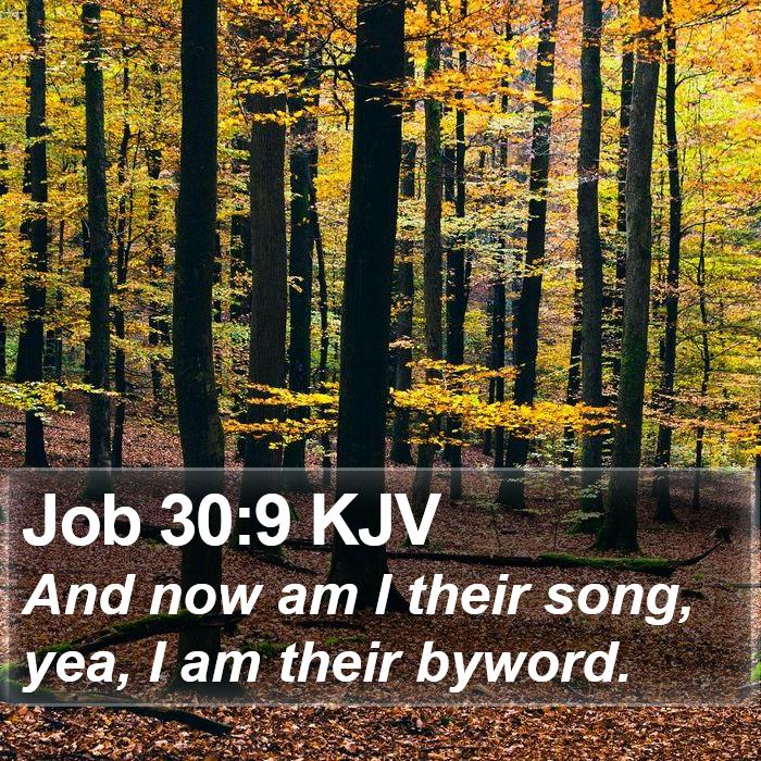 Job 30:9 KJV Bible Study